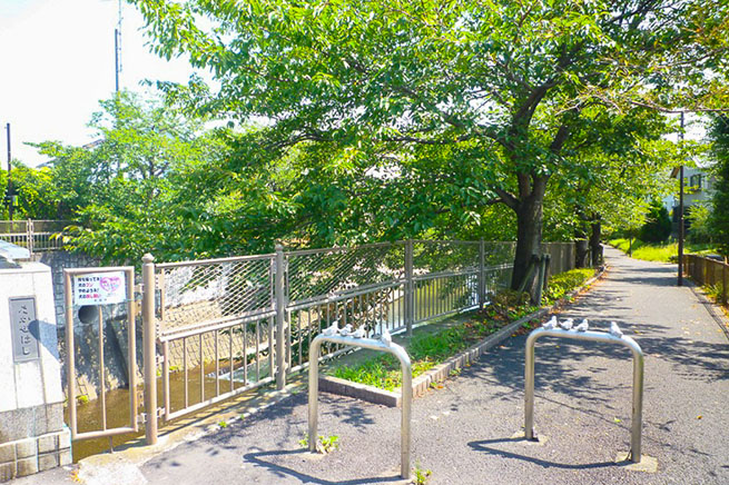 恩田川遊歩道（高瀬橋）